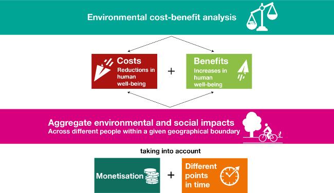 Accounting automation